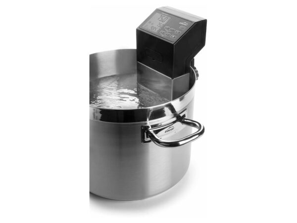 ProSous Precision Immersion Cooker